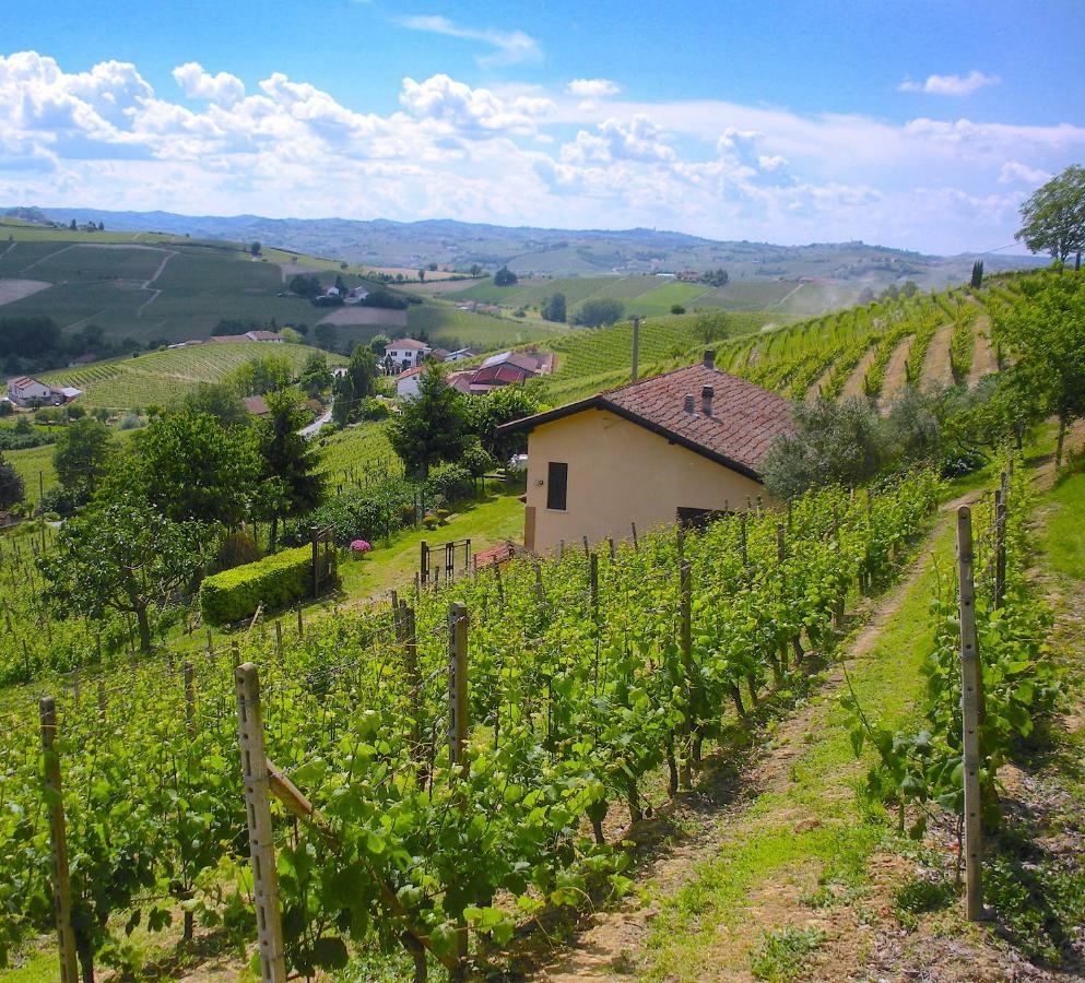 Cascina Tra I Vigneti A Nizza Monferrato Βίλα Εξωτερικό φωτογραφία