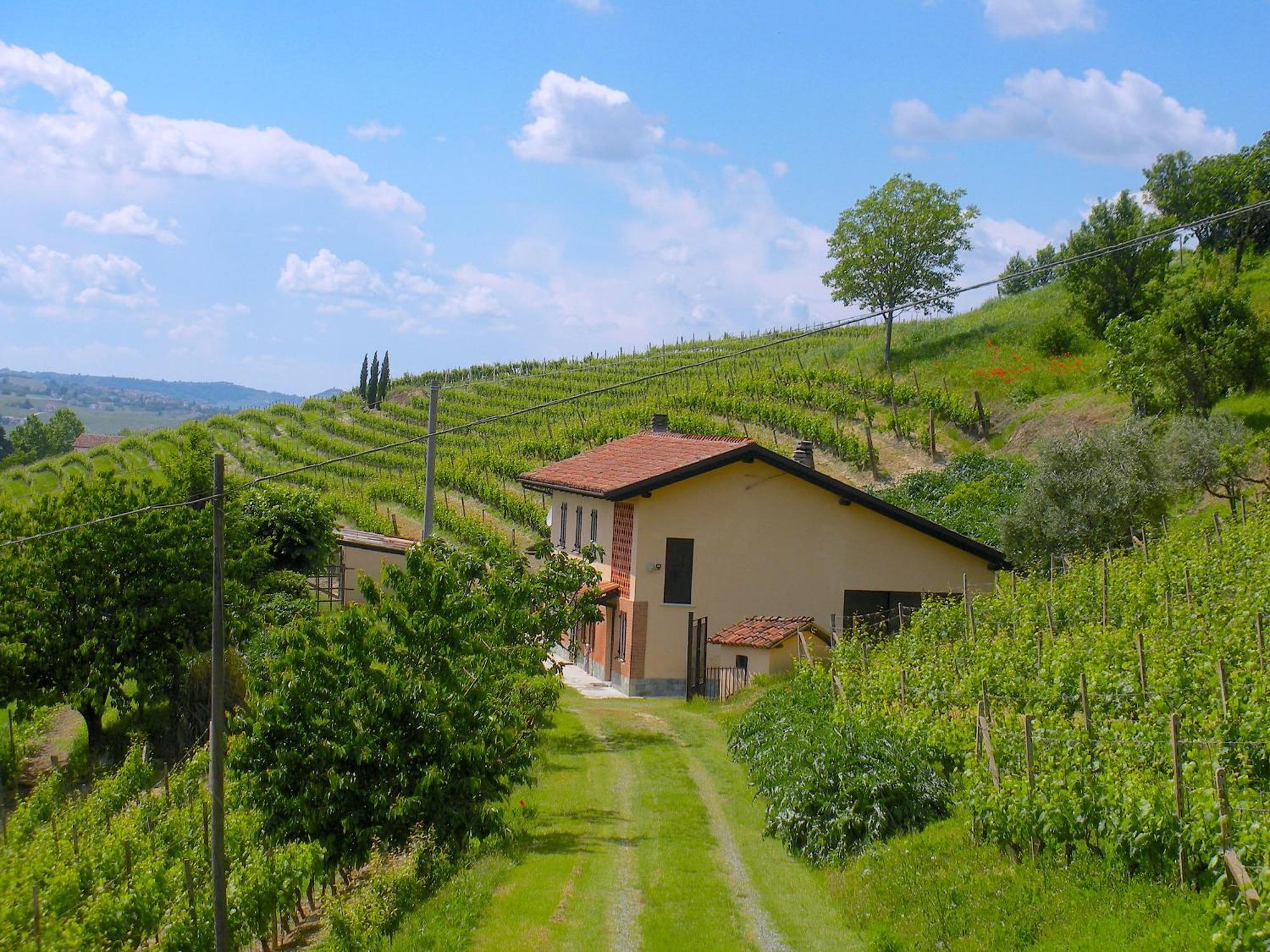 Cascina Tra I Vigneti A Nizza Monferrato Βίλα Εξωτερικό φωτογραφία