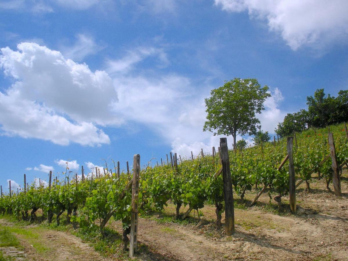 Cascina Tra I Vigneti A Nizza Monferrato Βίλα Εξωτερικό φωτογραφία
