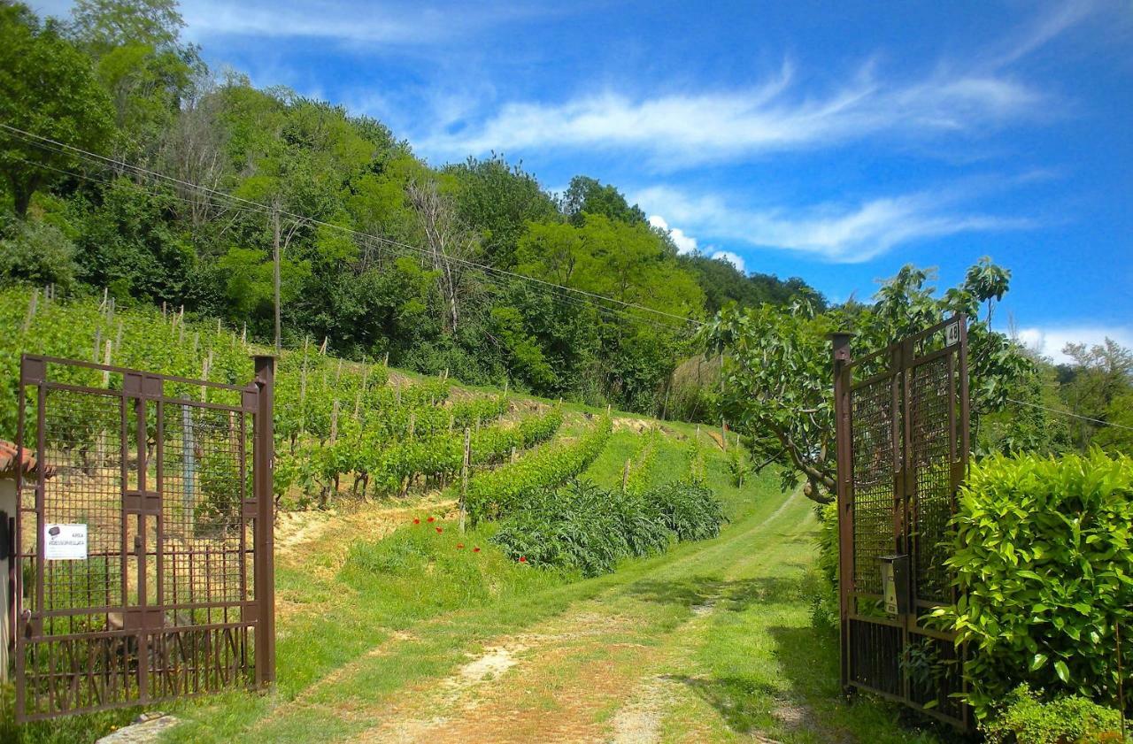 Cascina Tra I Vigneti A Nizza Monferrato Βίλα Εξωτερικό φωτογραφία
