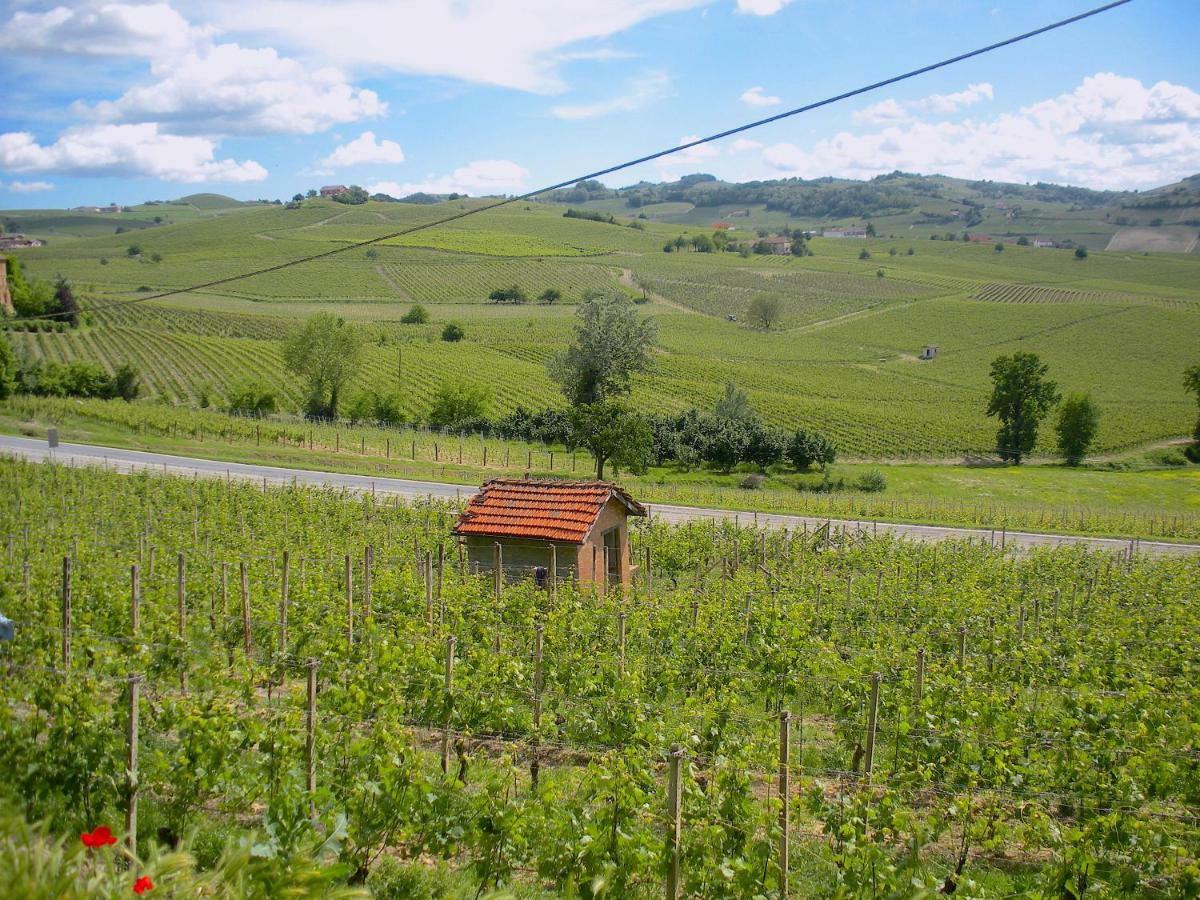 Cascina Tra I Vigneti A Nizza Monferrato Βίλα Εξωτερικό φωτογραφία